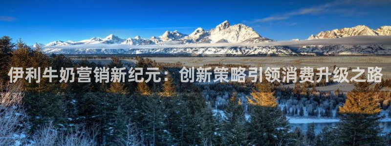 必赢棋盘9965.0版本